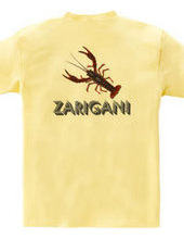 ZARIGANI2_CFB