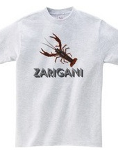 ZARIGANI2_C