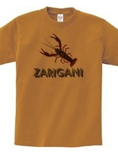 ZARIGANI2_C