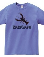 ZARIGANI2_C