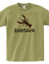 ZARIGANI2_C