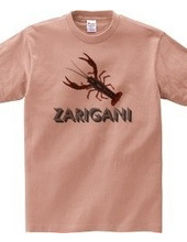 ZARIGANI2_C