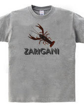 ZARIGANI2_C