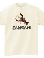 ZARIGANI2_C