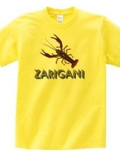 ZARIGANI2_C