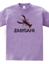 ZARIGANI2_C