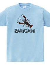 ZARIGANI2_C