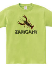 ZARIGANI2_C