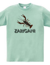 ZARIGANI2_C