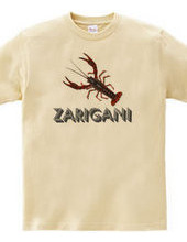 ZARIGANI2_C