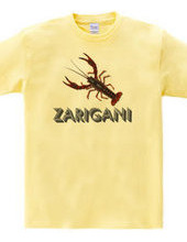 ZARIGANI2_C