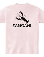 ZARIGANI2_KFB