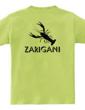 ZARIGANI2_KFB