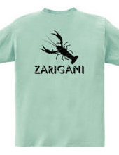 ZARIGANI2_KFB