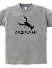 ZARIGANI2_K