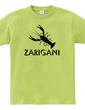 ZARIGANI2_K