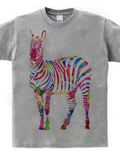 Colorful Zebra