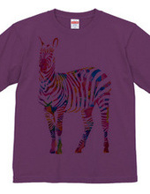 Colorful Zebra