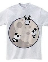 Pandas On The Moon