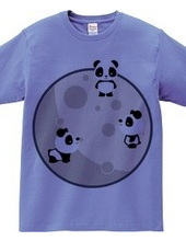 Pandas On The Moon