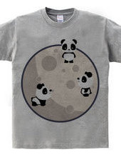 Pandas On The Moon