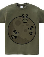 Pandas On The Moon