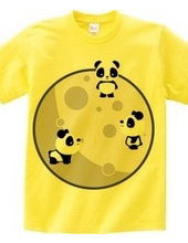 Pandas On The Moon