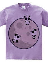 Pandas On The Moon