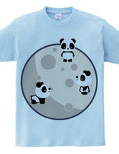 Pandas On The Moon