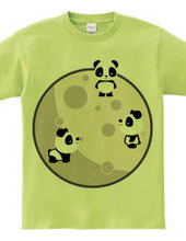 Pandas On The Moon