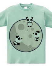 Pandas On The Moon