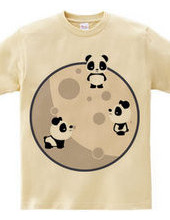 Pandas On The Moon