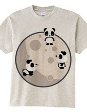 Pandas On The Moon