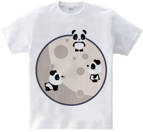 Pandas On The Moon