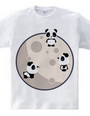 Pandas On The Moon