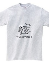 VOLLEYBALL -no rules
