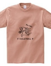 VOLLEYBALL -no rules