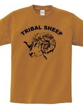 TRIBAL SHEEP