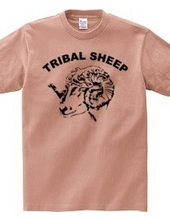 TRIBAL SHEEP