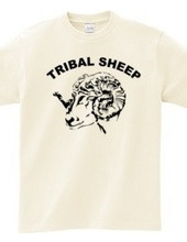 TRIBAL SHEEP