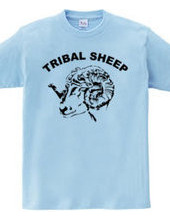 TRIBAL SHEEP