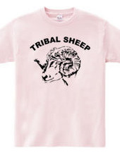 TRIBAL SHEEP
