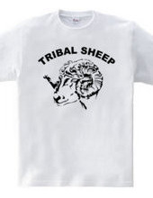 TRIBAL SHEEP