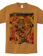 Tie Dye Cat