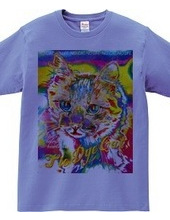 Tie Dye Cat