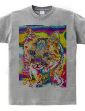 Tie Dye Cat