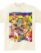 Tie Dye Cat