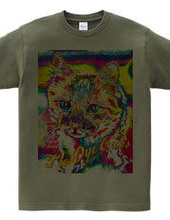 Tie Dye Cat