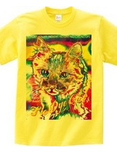 Tie Dye Cat