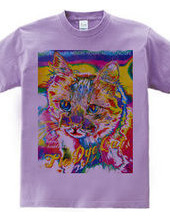 Tie Dye Cat